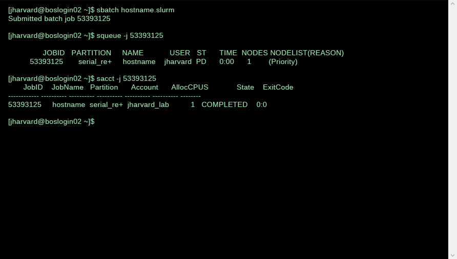 A terminal window showing a user submitting an sbatch job, receiving a job number, running squeue -j on the job number, and sacct -j on the job number