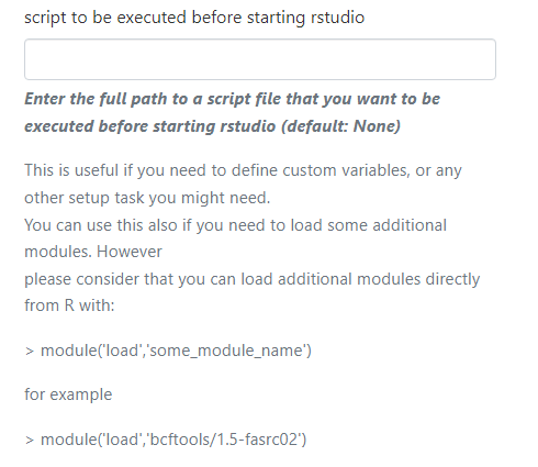 Script to be executed before starting RStudio